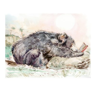 Claire’s Jungle Book illustrations at Batemans