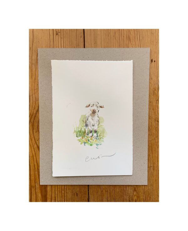 Original Watercolour “Little Lamb”