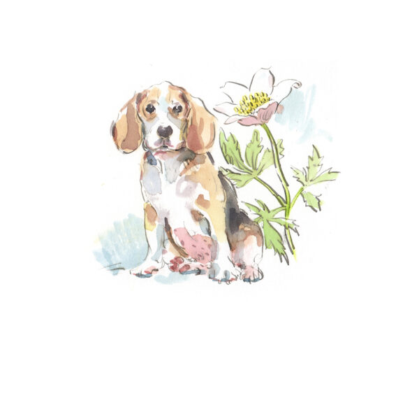 PRINT “Beagle and Anemone”